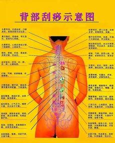 屁股刮痧视频,传统养生新体验