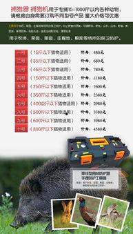 野鸡媒视频,揭秘野鸡媒视频背后的真相与影响