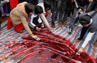 越南杀猪一刀两断视频